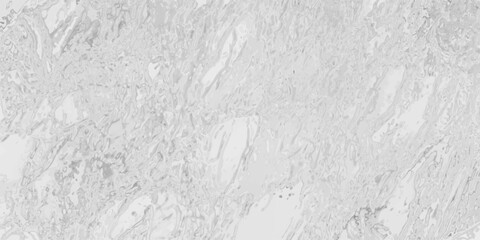 Obraz premium Organic abstract background with intricate flowing lines and a monochromatic palette of light gray and white, suggesting natural formations or fluid motion