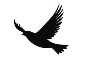Elegant bird shape soaring against a transparent background capturing the essence of freedom and open skies