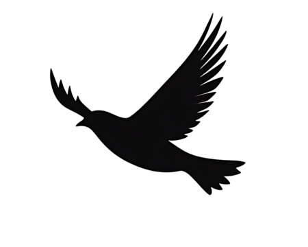 Elegant bird shape soaring against a transparent background capturing the essence of freedom and open skies