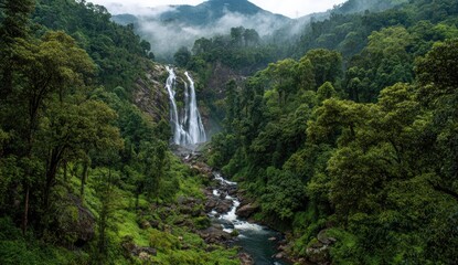 Lush waterfall cascading into a valley, surrounded by dense forest
