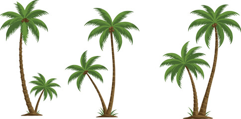 Cartoon set of tropical palm trees with coconuts, green fronds, and brown trunks, isolated on white background, tropical theme.