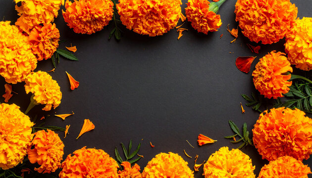 Orange marigold flower border on black background. Decorative Dia de los Muertos frame - Powered by Adobe