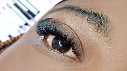Close up of female eye with eyelash extensions ,eyelash extension procedure.2d volume, 3d volume, classical lashes,Russian volume,mega volume, new set.