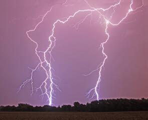 Lightning flash over a corn field