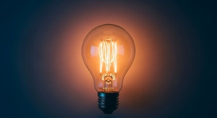 Illuminated Vintage Light Bulb.