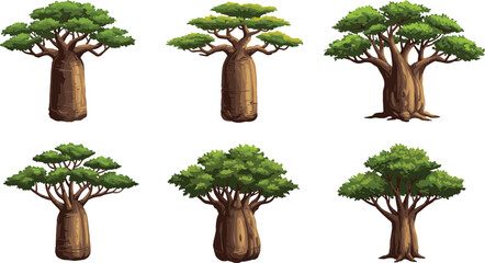 Collection of cartoon baobab trees with thick trunks, flat green canopies, and unique shapes on a white background. © fmfahim creatives
