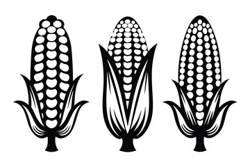 Set of Three Black Corn Cobs with Leaves on a White Background