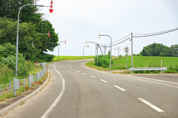 Rural Road with Traffic Signals and Utility Lines Through Verdant Farmland