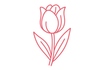 Elegant outline drawing of a pink tulip, isolated on transparent background