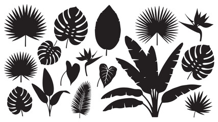 Tropical leaf silhouette collection, monstera, banana, palm, fern leaves, botanical design elements, black foliage set, jungle nature icons