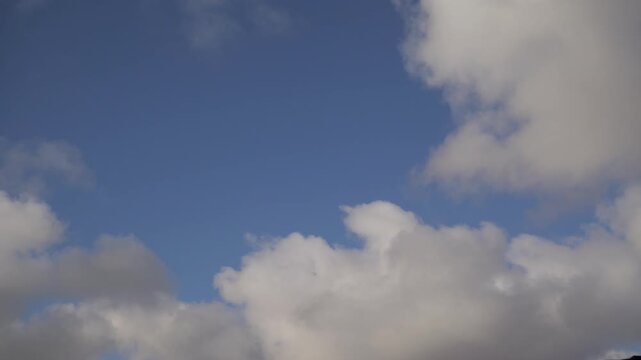 Time-lapse low-angle shpt of the puffy white clouds rolling in the blue sky during a sunny afternoon