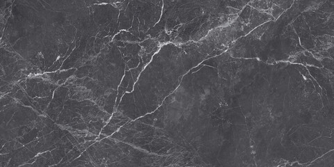 Dark Marble Texture with Intricate White Veining Details for Background