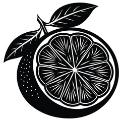 Lemon and orange vector illustration fresh citrus fruits
