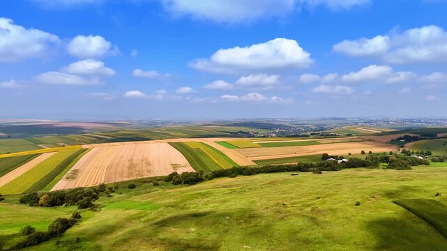 Expansive farmland with blue skies in rural landscape. Vibrant fields under a bright sky showcase nature's beauty and the resilience of agriculture.