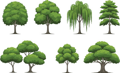 Illustration of diverse green trees including leafy, willow, and coniferous types in different shapes and sizes on white background. © fmfahim creatives