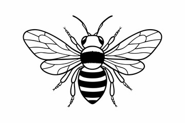 Fototapeta premium bee vector illustration