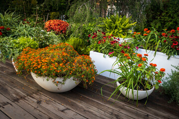Vibrant Garden Oasis with Potted Flowers and Decking