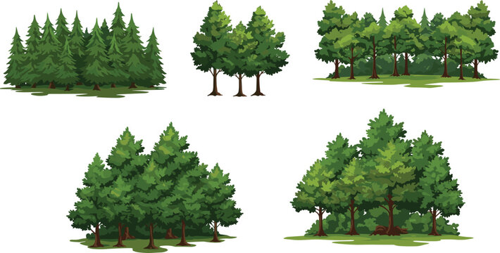 Illustration of grouped evergreen and deciduous trees with dense green foliage, perfect for nature scenes, landscapes, and environmental design.