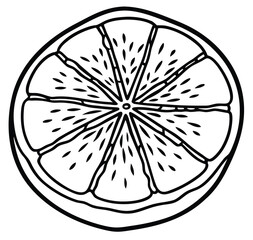 Lemon slice isolated vector illustration of fruit