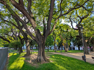 Jardim Nuno Álvares park, Largo Santos, Lisbon, Portugal