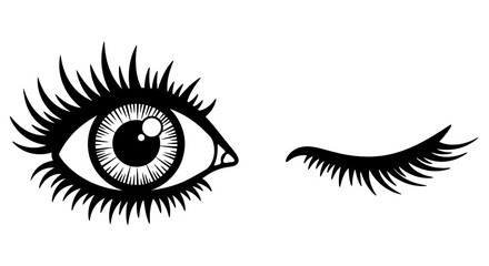 An artistic rendering of an open eye and a winking closed eye with long eyelashes symbolizing beauty and expressiveness
