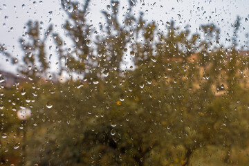 Raindrops on Window