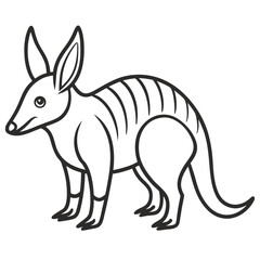 kangaroo vector illustration