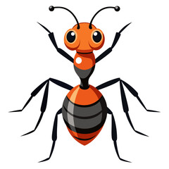 vector illustration of a spider