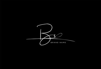 BS letter elegant cursive beauty handwriting logo.