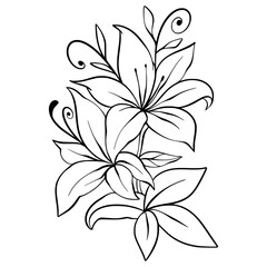 Flower Leaf  Outline Ornament  Element Decoration Illustration 