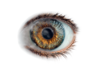 Human eye iris pupil eyelashes sclera detailed intricate brown green blue image, Isolated On Png Transparent Background
