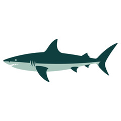 Obraz premium shark vector illustration