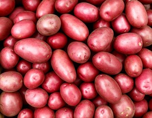 Close-up of many red potatoes