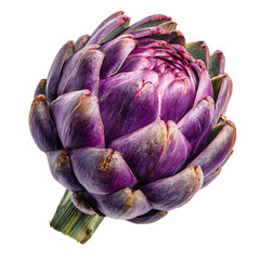 Obraz premium Fresh purple artichoke on a white background