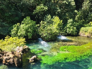 Beautiful Green-Tinted Crystal Water in La Fontaine-de-Vaucluse Spring, Provence.