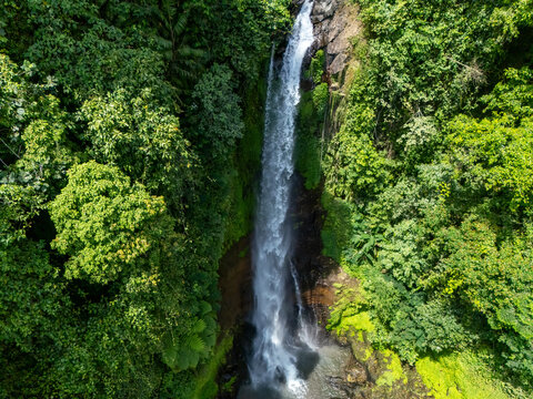 Aerial view of a Gigit waterfall, Singaraja , Bali, Indonesia cascading through lush green tropical forest into a clear pool, creating a stunning natural landscape.
