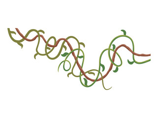 Tropical Jungle Tree Branch or Forest Thicket
