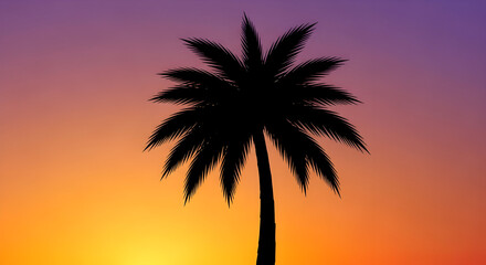 Palm Tree Silhouette Against Colorful Gradient Sunset Sky