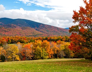Autumn foliage blankets a valley landscape