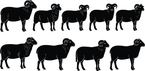 Ram silhouette collection, sheep animal vector, horned rams standing, wild mountain animals, farm livestock, black and white design, nature wildlife