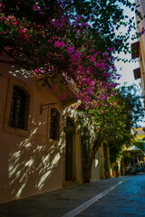 Obraz premium Greece, Rethimno, 05.09.2025: charming narrow street with blooming bougainvillea and traditional houses