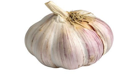 Obraz premium Fresh garlic bulb close-up for cooking or health themes