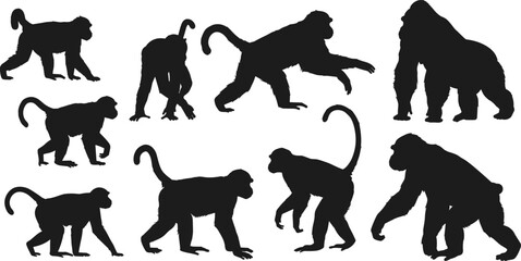Monkey and gorilla silhouettes collection, primate vector shapes, black animal icons, wild ape poses, chimpanzee, gorilla, wildlife art, jungle mammals, isolated white background.