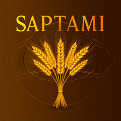Elegant Saptami Design Featuring Wheat Sheaf for Durga Puja Festival