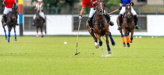 Polo game  in the competition