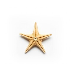 Close-up of a textured starfish, showcasing its intricate pattern and natural beauty on a clean white background, perfect for summer, beach, or nautical themes ,