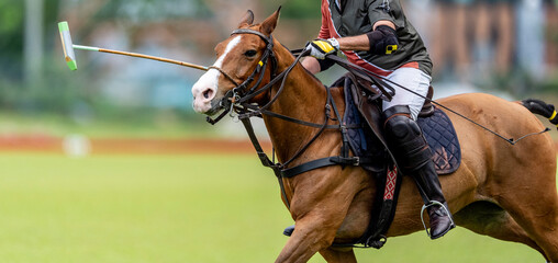 Dynamic polo player on a horse