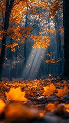 Fototapeta premium Autumn magical forest background