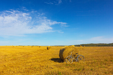Countryside landscape with harvested field with bales and forest on sunny day