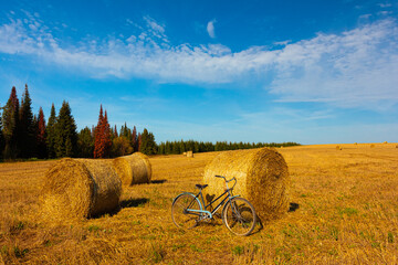 Countryside landscape with harvested field with bales and forest on sunny day